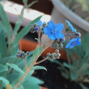 Meet your Posher, Bethy